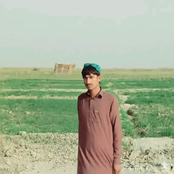 Profile of Muhammad Imran
