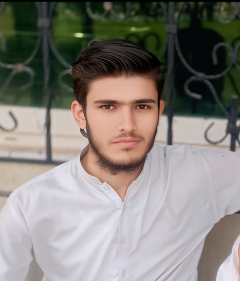 Profile of Ahmad Ali