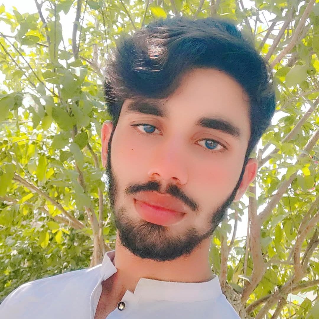 Profile of Kashan Haider
