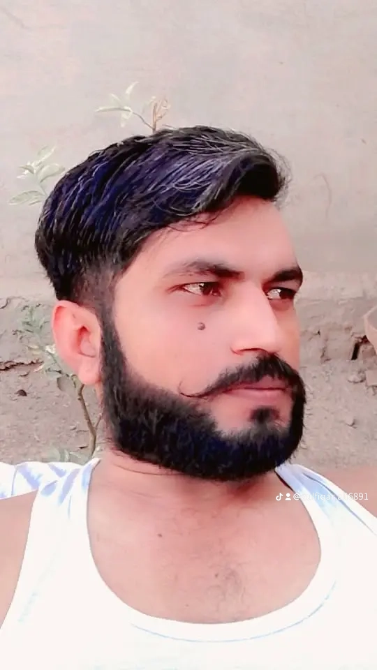 Profile of Zulfiqar Ali